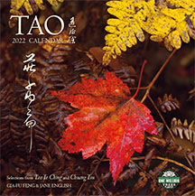 Tao calendar cover